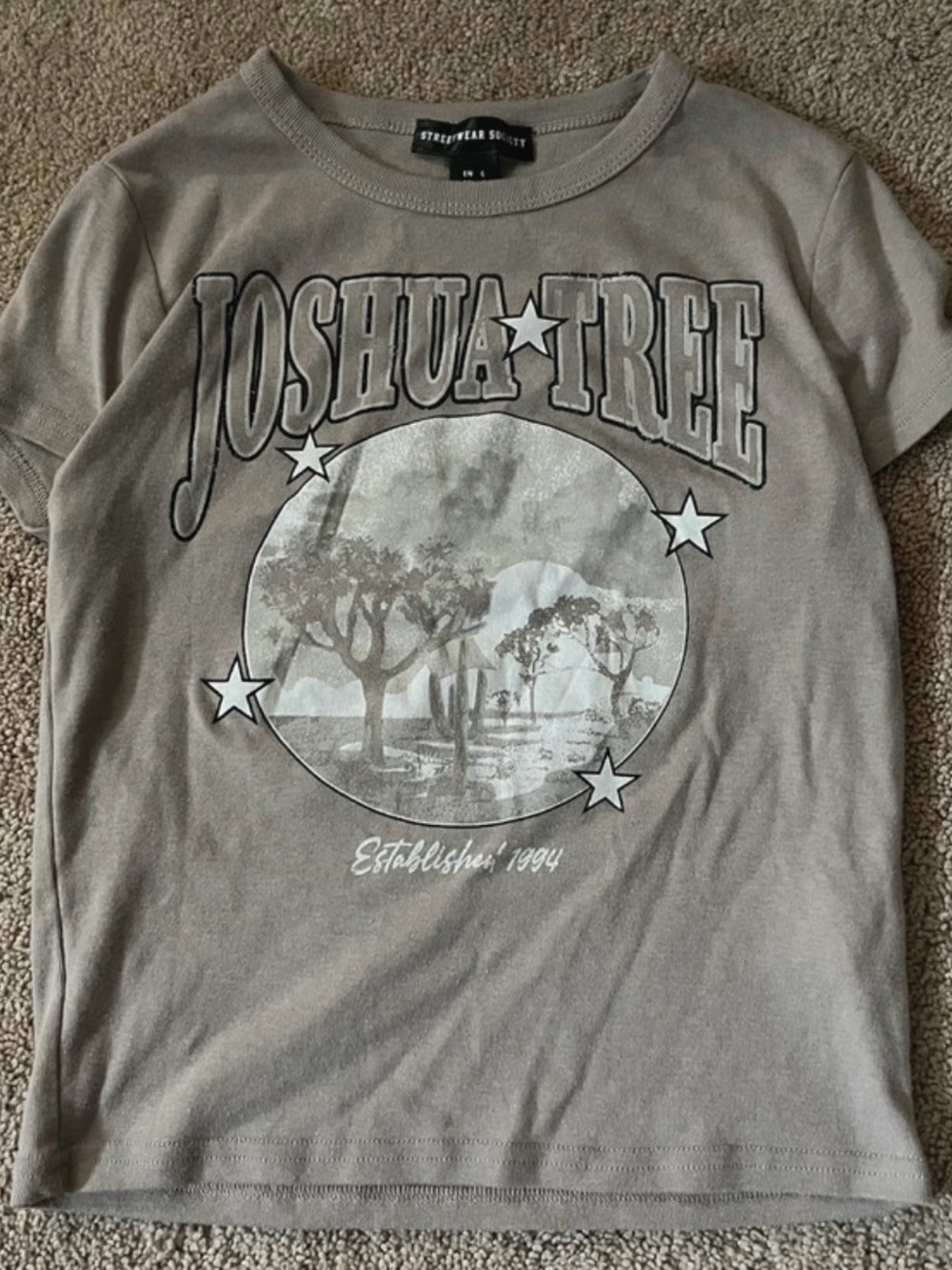 Streetwear Society Kids Joshua Tree Graphic Tee - Taupe